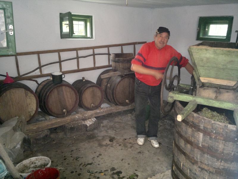 Vind moara de struguri mare