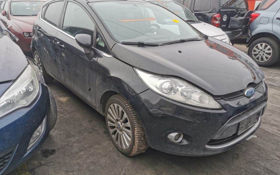 Ford Fiesta MK6 1.25 16v tip SNJA, 2010