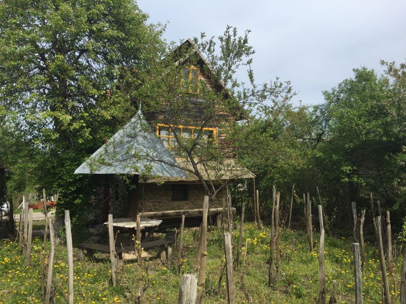 Cabana cu vie in dealul viilor la ineu
